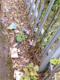 Image result for Lostwithiel Smbc