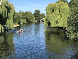 Image result for Bedford