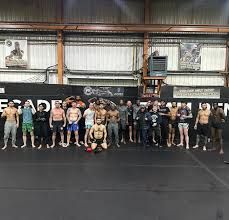 Image result for Team Renegade BJJ & Judo