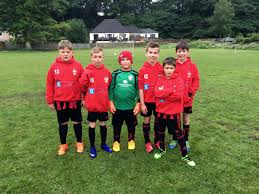 Image result for Auchterarder Primrose Juvenile Football Club