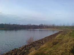 Image result for Daventry Tigers Bowls Club