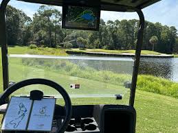 Image result for Dolphina Gc