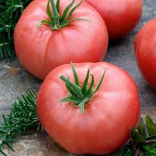 Afbeeldingsresultaat voor Pink Brandywine tomato
