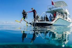 Image result for Blue Water Diving