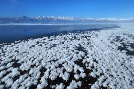 Attēlu rezultāti vaicājumam “Frost Flowers”