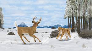 Image result for Antelope 1984 Jaguar