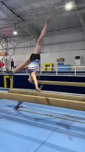 Image result for Mansfield Olympic Gymnastics Club