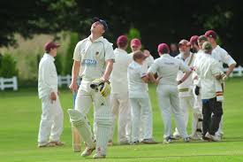 Image result for Lewdown Cricket Club