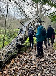Image result for Stourbridge HF Rambling Club