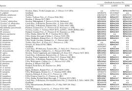 Attēlu rezultāti vaicājumam “Biatora sphaeroides”