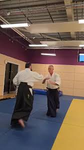 Image result for Durham City Aikikai