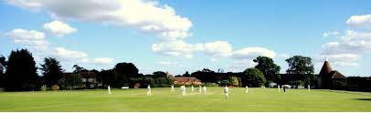Image result for Great Chart Cricket Club