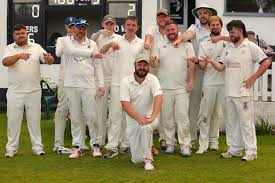 Image result for Yelverton Bohemians Cricket Club