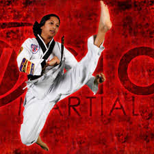 Image result for Vision Martial Arts