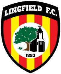 Image result for Lingfield Cricket Club
