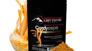 Attēlu rezultāti vaicājumam “Cordyceps polyarthra”