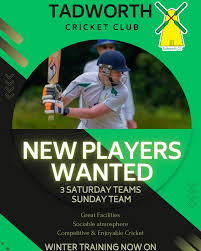 Image result for Tadworth Cricket Club
