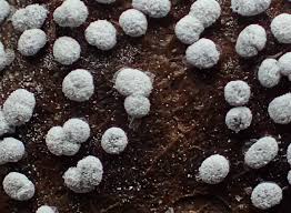 Attēlu rezultāti vaicājumam “Badhamia capsulifera var. arborea”