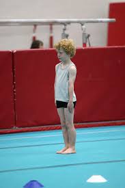 Image result for Hawth Gymnastics, Crawley