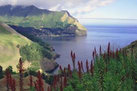 view of town, San Juan Bautista , © Juan Fernandez Islands Conservancy 2003 Conservation concerns. The natural communities of the Juan Fernández Islands are ... - view%20of%20town