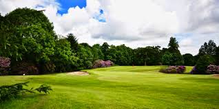 Image result for Wansbeck Gc