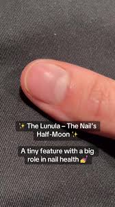 Image result for lunula nail