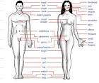 Whole Human Body - - Kemetic Moors
