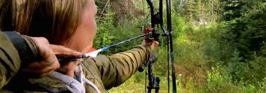 Image result for Mole Valley Bowmen