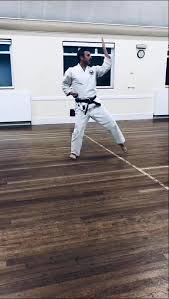 Image result for Kenshukai Karate