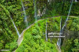 Výsledek obrázku pro yungas