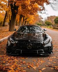 Картинки по запросу ...ЃРёРЅС‚РµР·Р°С‚РѕСЂ