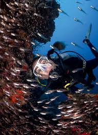 Image result for Hartlepool Divers Bsac Branch 0985