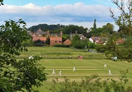 Image result for Plumtree Cricket Club