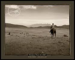 Image result for Newbury Mountain Club