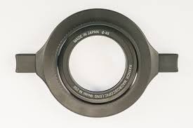 Attēlu rezultāti vaicājumam “Diderma roanense macro”