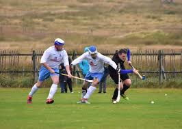 Image result for Skye Camanachd