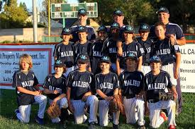 Image result for Little Common Community Sports Club