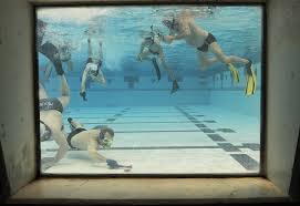 Image result for Aberystwyth University Octopush club