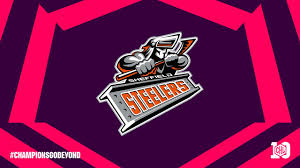 Image result for Sheffield Steelers