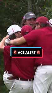 Image result for Maidstone Aces Mcc