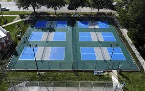 Image result for 1st New Forest Pickleball Club