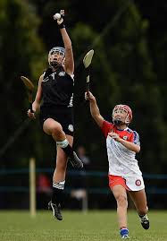 Image result for hurling