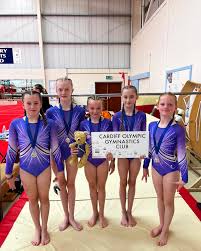 Image result for Cardiff Olympic Gymnastics Club