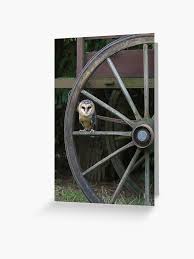 Image result for Kartwheels Gc