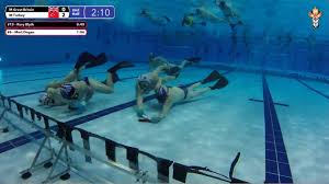 Image result for Sheffield Octopush Club