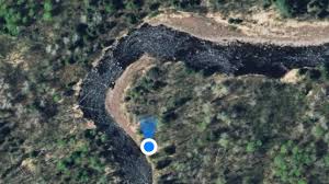 Attēlu rezultāti vaicājumam “Fissidens adianthoides sporophyte”