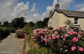 Image result for Withiel