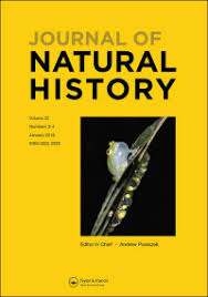 Attēlu rezultāti vaicājumam “Tischeria complanella larva”