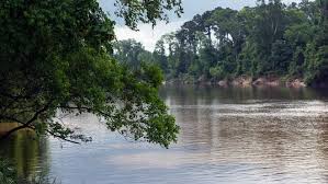 Image result for Drax Cc