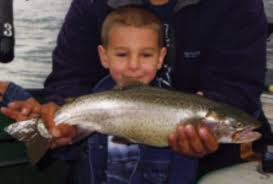 Image result for Oncorhynchus clarkii